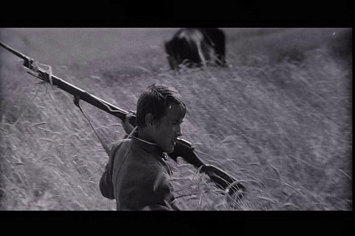 vlcsnap-2015-10-16-17h13m52s449